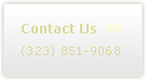 (323) 851-9068