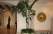 Montage-lobby-tree-thumb
